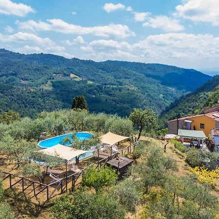 Holiday Home Poggetto Pellegrini By Interhome Vellano Dış mekan fotoğraf